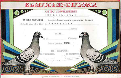 diploma.jpg diploma.jpg
