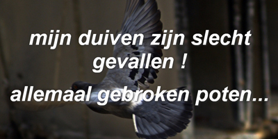 meldlijst.jpg